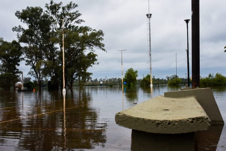 Crecida del río Uruguay: prevén que el nivel alcance los 10,50 metros en Concordia