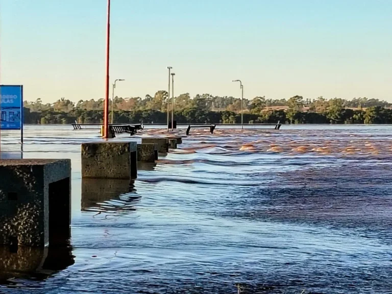 El río Uruguay se desbordó e inundó sectores de la costanera de Concordia