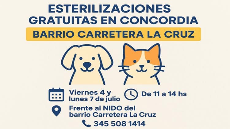 Continúan las esterilizaciones gratuitas en Concordia: próxima parada, Carretera La Cruz