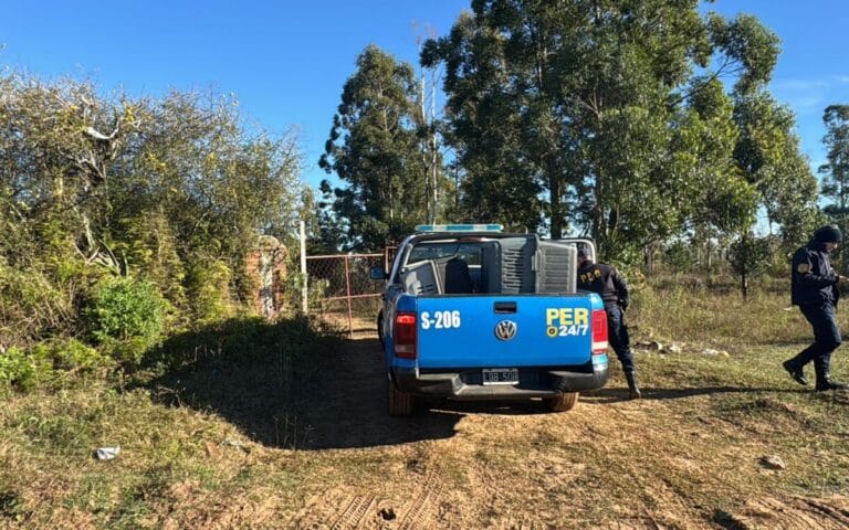 Rescatan a 20 perros en Concordia durante un allanamiento por presunto maltrato animal