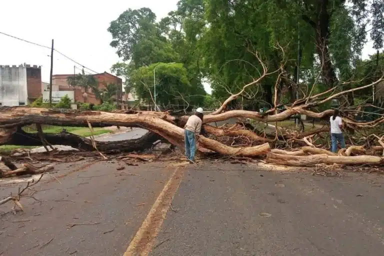 Atención conductores: una de las principales avenidas de Concordia tendrá cortes durante tres días