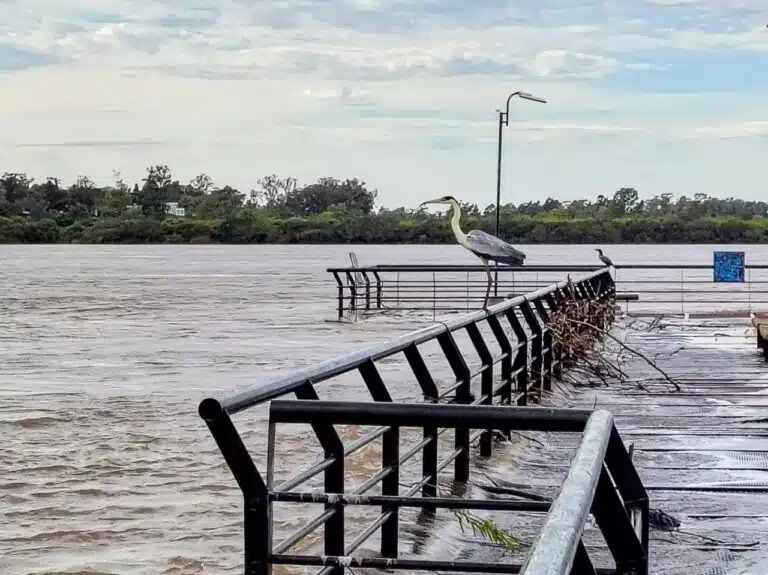 Sin evacuados en la provincia, pero rige alerta naranja por tormentas para siete departamentos