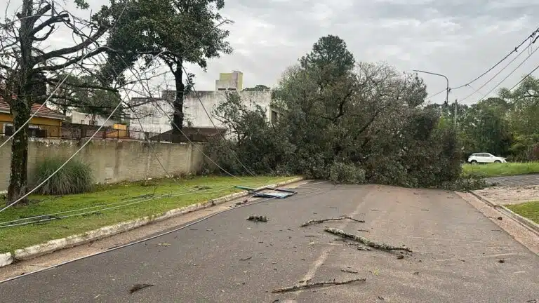 Temporal en Concordia: más de 60 familias pidieron asistencia